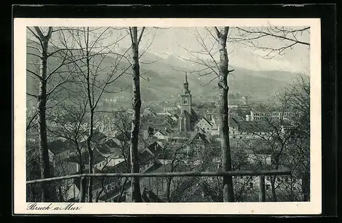 AK Bruck a. Mur, Totale mit Kirche