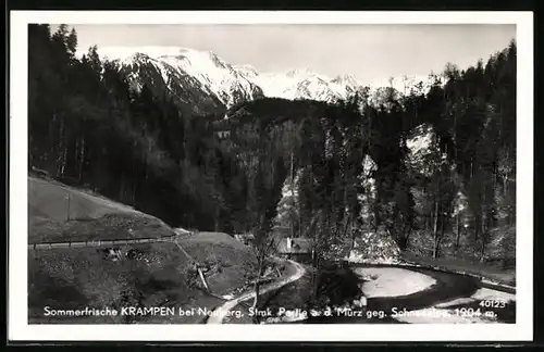 AK Krampen bei Neuberg, Mürzpartie mit Schneealpe