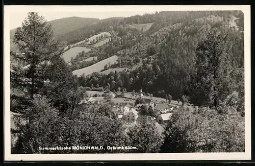 AK Mönichwald, Panorama vom Berg aus gesehen