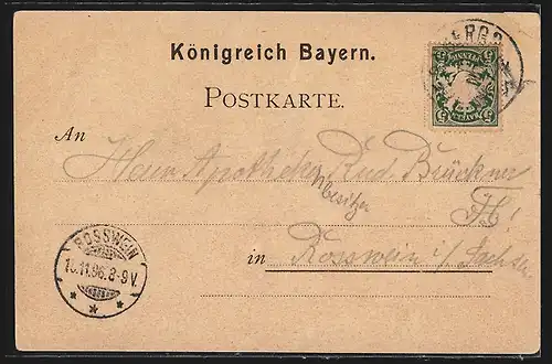 Lithographie Nürnberg, Wappen, Henkersteg, Heidenturm, Petersen Haus, Rathaus, Ludwigstor, Partie an der Pegnitz