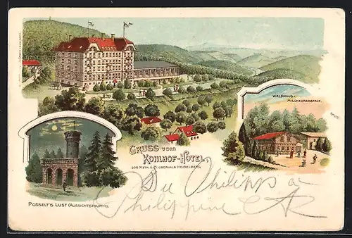 Lithographie Heidelberg, Kohlhof-Hotel, Waldhaus-Milchkuranstalt