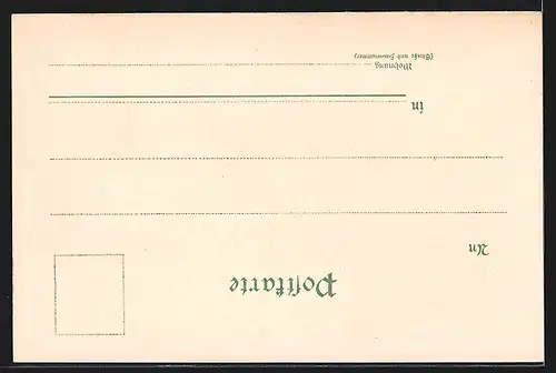 Lithographie Grimma, Alte & neue Realschule mit Prog.