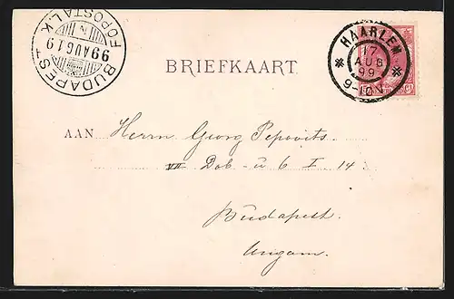 AK Haarlem, Stadhuis