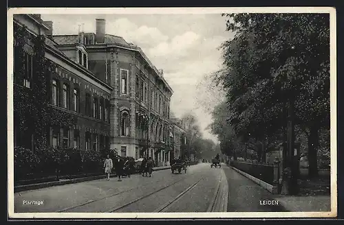 AK Leiden, Plantage