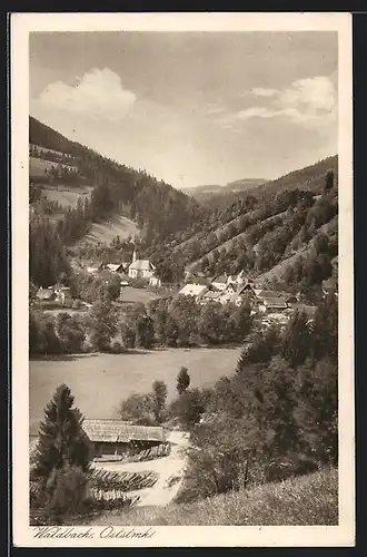 AK Waldbach, Totalansicht der Ortschaft