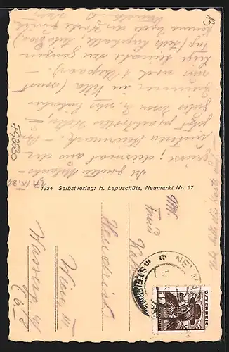 AK Neumarkt, Teilansicht mit Alpenpanorama