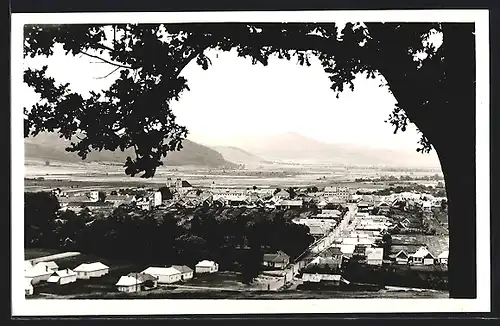 AK Sv. Kriz n. Hronom, Panorama mit Baum