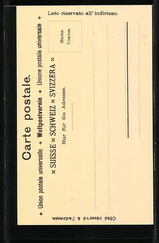 Künstler-AK Zürich-Wiedikon, Volksschauspiel Karl der Kühne u. die Eidgenossen