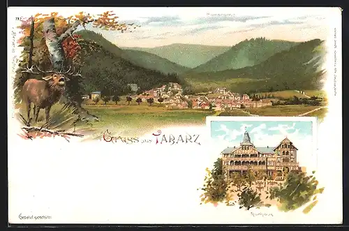 Lithographie Tabarz, Totalansicht, Kurhaus