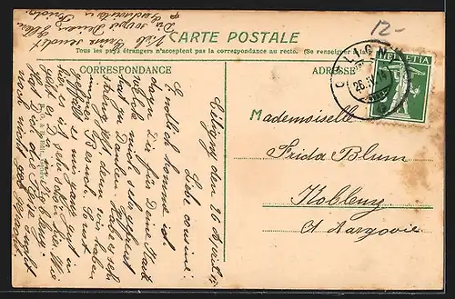 AK Nyon, Le Châteaux et vue Générale et le Mont Blanc