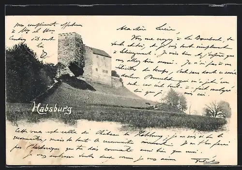 AK Habsburg, Ortspartie mit Burg