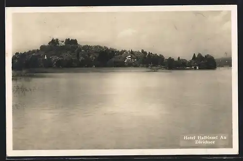 AK Au, Halbinsel mit Hotel im Zürichsee