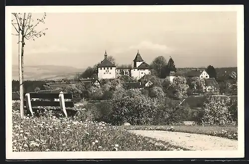 AK Kyburg, Schloss Kyburg im Frühling