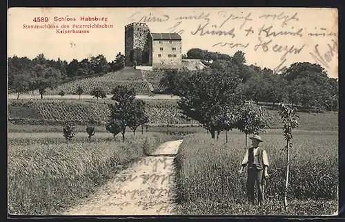 AK Habsburg, Schloss Habsburg mit Feldweg