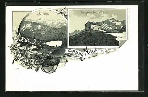 Lithographie Nebelhorn, Gasthaus auf dem Nebelhorn, Seealpsee