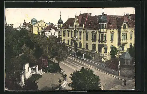 AK Leitmeritz / Litomerice, Parkstrasse mit Bäumen