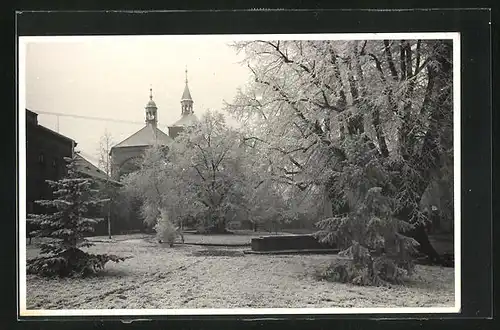 Foto-AK Trebenice, Krasy Trebenic