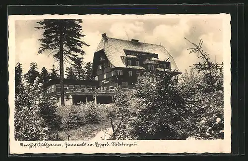 AK Zinnwald im Erzgebirge, Gasthaus Berghof Ausspanne