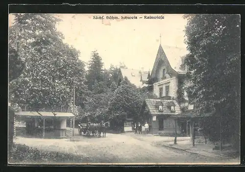 AK Rainwiese / Sächs. Böhm. Schweiz, Ortspartie mit Pferdekutsche