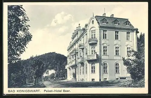 AK Bad Königswart, Palast-Hotel Beer
