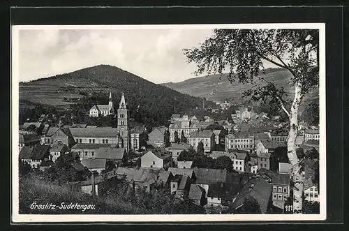 AK Graslitz / Sudetengau, Perspektive aus der Vogelschau