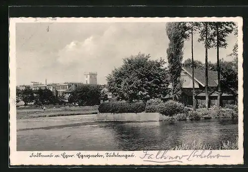 AK Falkenau a.d. Eger, Ortspartie an der Eger