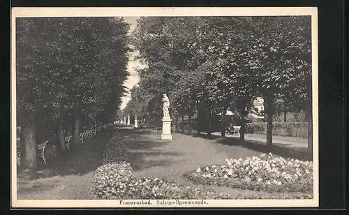 AK Franzensbad, Salzquellpromenade