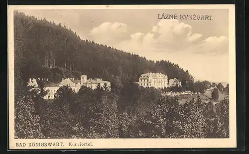 AK Bad Königswart, Blick auf das Kurviertel