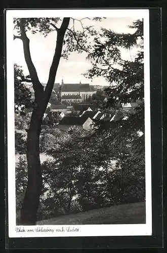 AK Luditz, Blick vom Schlossberg