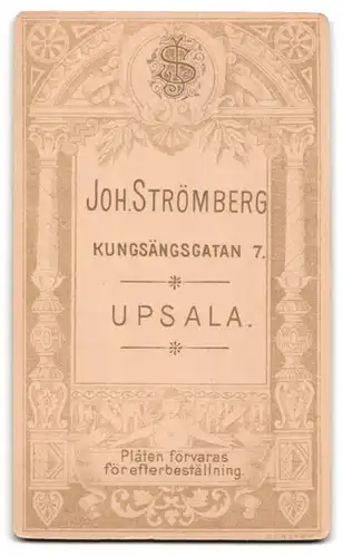 Fotografie Joh. Strömberg, Upsala, Portrait junge Dame mit hochgestecktem Haar