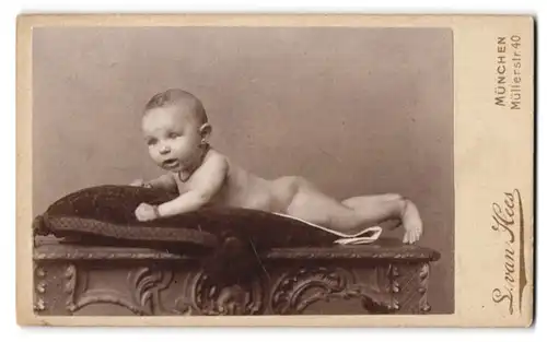 Fotografie L. van Hees, München, Portrait Baby auf einem Kissen liegend