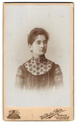 Fotografie Wilhelm Stein, Berlin, Portrait brünette Schönheit in elegant bestickter Bluse