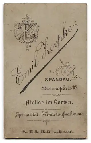 Fotografie Emil Zoepke, Berlin-Spandau, Portrait stattlicher Herr mit Fliege und Schnurrbart