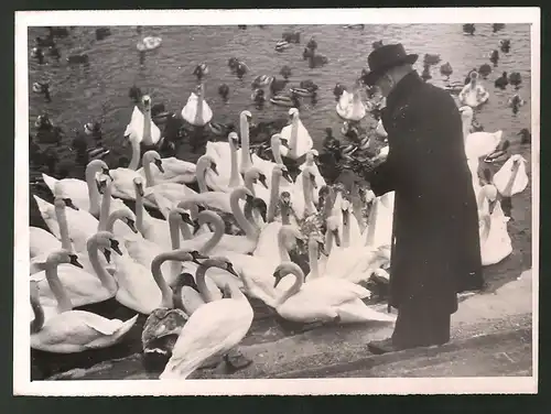 Fotografie Ansicht Potsdam, Passant füttert Schwäne