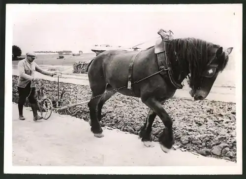 Fotografie Französicher Bauer mit Kaltblüter, Pferd