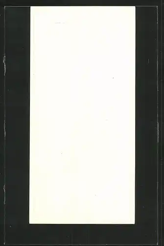 Exlibris Bruxelles, Maison de l'Amerique latine, Partie am Dom zu Brüssel 1946