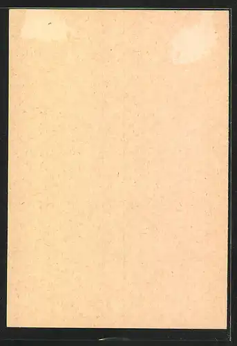 Exlibris Otto Feist, Wappen mit Ornamenten