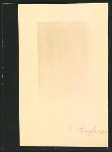 Exlibris F. v. Ammon, Wappen mit Ritterhelm