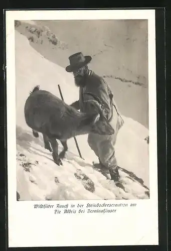 AK Wildhüter Alois Rauch in der Steinbockreservation am Piz Albris