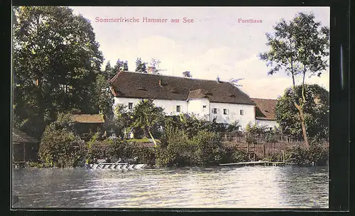 AK Hammer Am See / Hamr Na Jezere, Blick zum Forsthaus