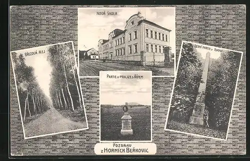 AK Horni Berkovice, Allee, Neue Schule, Denkmäler