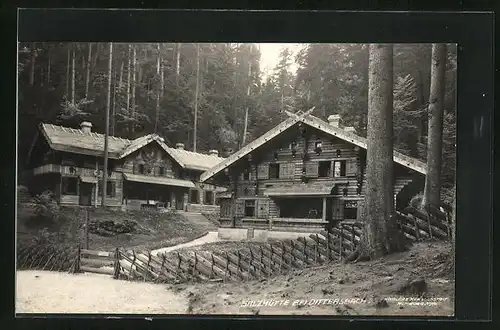 AK Dittersbach / Jetrichovice, Gasthaus Balzhütte vom Weg aus gesehen