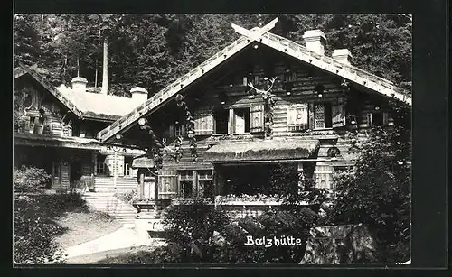 AK Dittersbach / Jetrichovice, Gasthaus Balzhütte vom Wegesrand aus gesehen