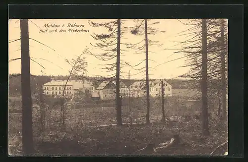 AK Moldau i. Böhmen, Blick nach dem Fischerhaus