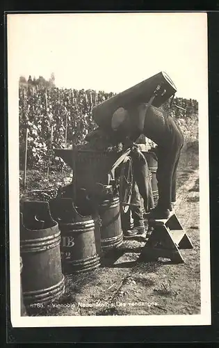 AK Neuchatelois, Les Vendanges, Weinlese, Leeren der vollen Körbe