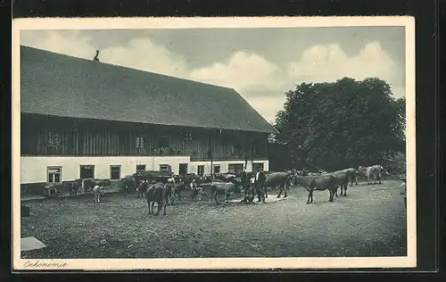 AK Lenzfried / Allgäu, Erziehungs-Institut der Ar. Schulschwestern v. U. L. Fr.