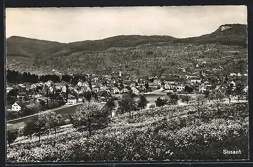 AK Sissach, Teilansicht mit Blumenwiese