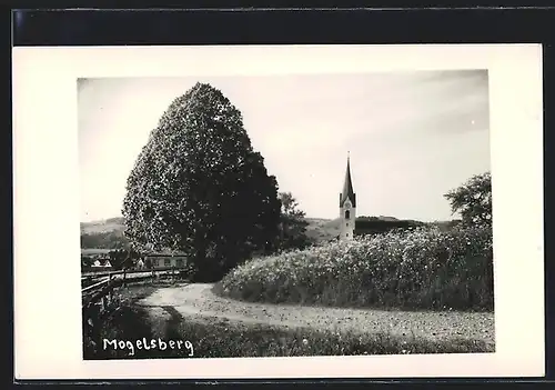 AK Mogelsberg, Ortspartie mit Kirche