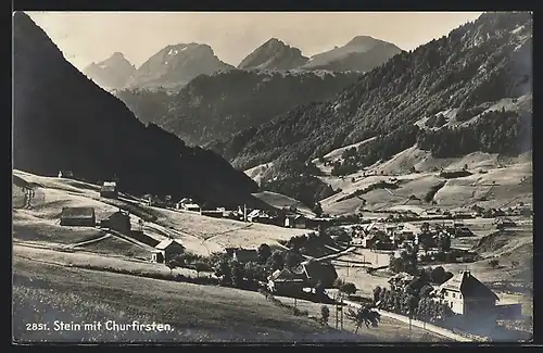 AK Stein, Gesamtansicht mit Umgebung und Churfirsten