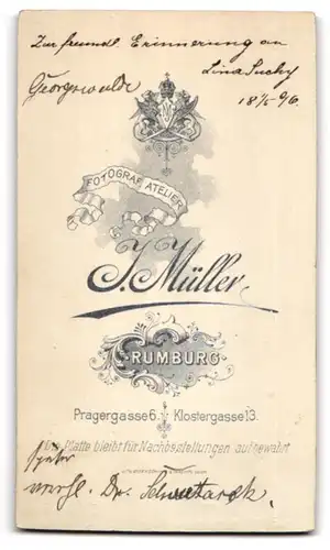 Fotografie J. Müller, Rumburg, junge Frau Lina Suchy im hellen Kleid, 1896